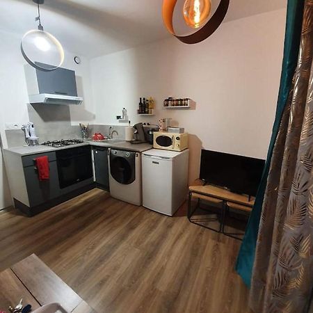 Charmant Petit F1 Apartamento Tain-lʼHermitage Exterior foto
