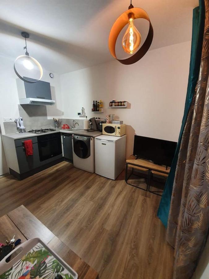 Charmant Petit F1 Apartamento Tain-lʼHermitage Exterior foto